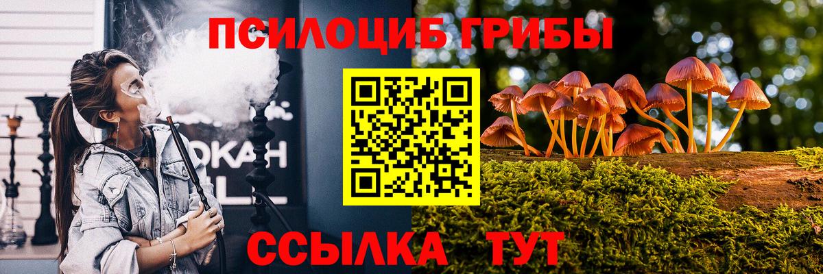 Алушта  Псилоцибиновые грибы Cubensis  Вход с VPN  Галлюциногенные грибы GOLDEN TEACHER 